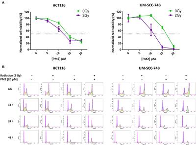 The Stapled Peptide PM2 Stabilizes p53 Levels and Radiosensitizes Wild-Type p53 Cancer Cells